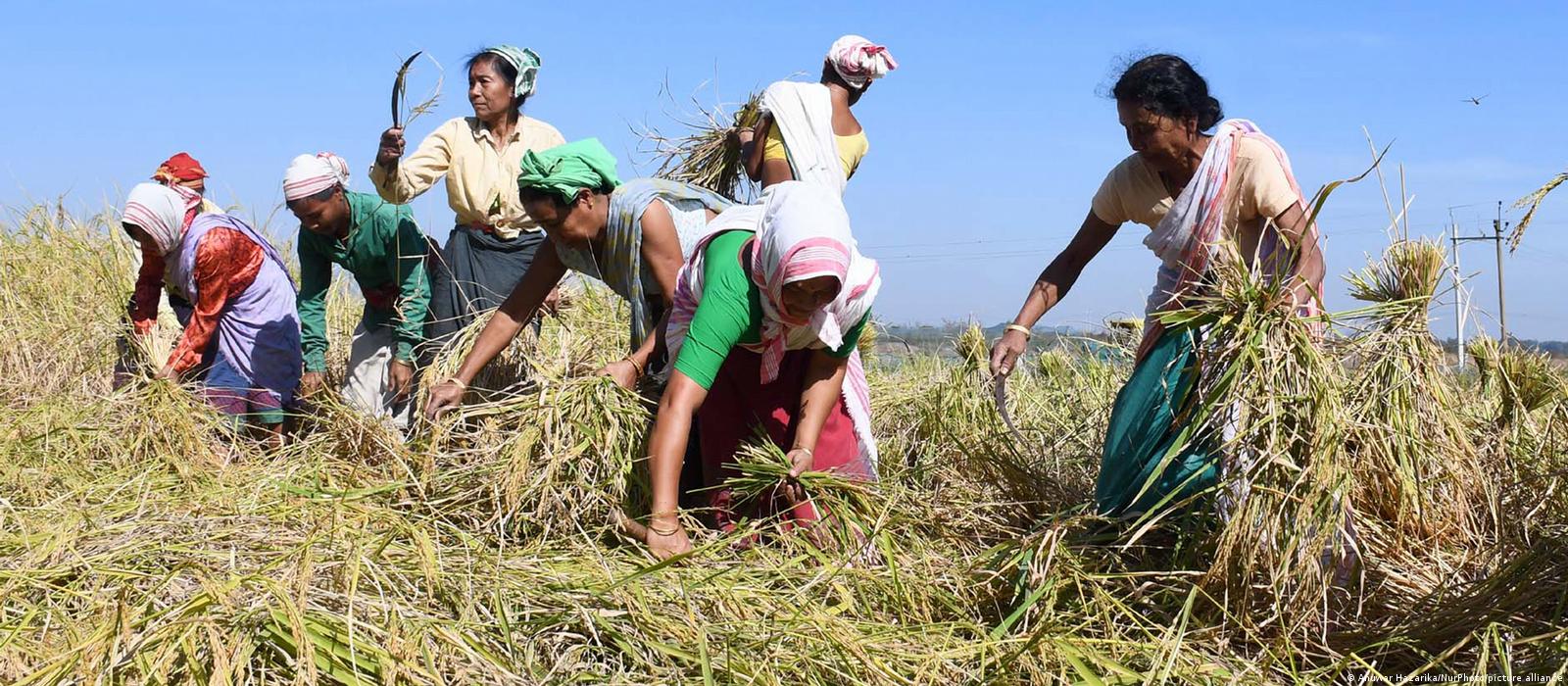 India's Tribes Living on The Margin Of Society NewsClick